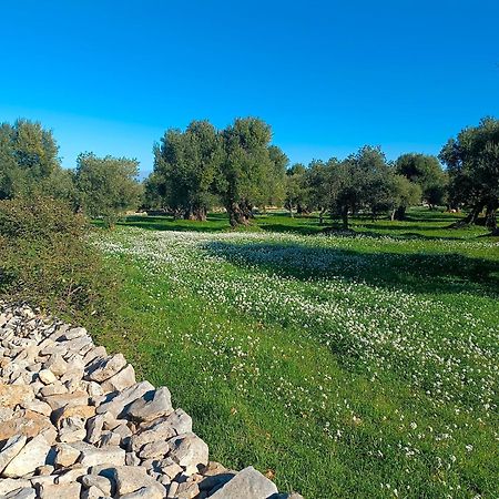 Che Vista!! Ostuni ,Sulle Bianche Mura Con Vista Mozzafiato Extérieur photo