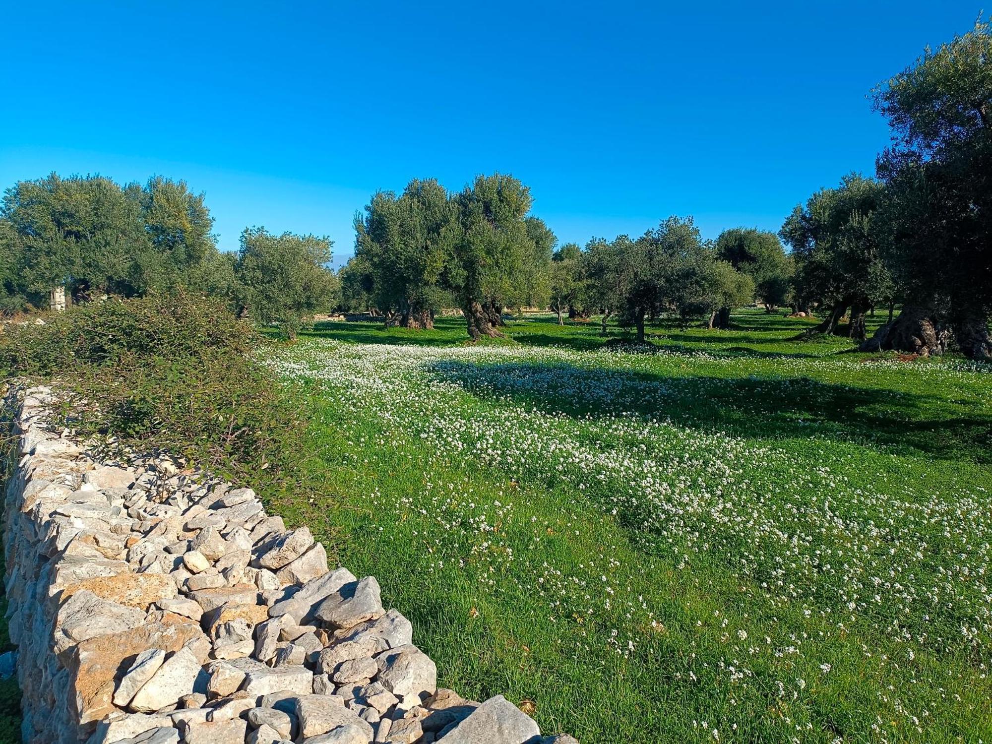 Che Vista!! Ostuni ,Sulle Bianche Mura Con Vista Mozzafiato Extérieur photo